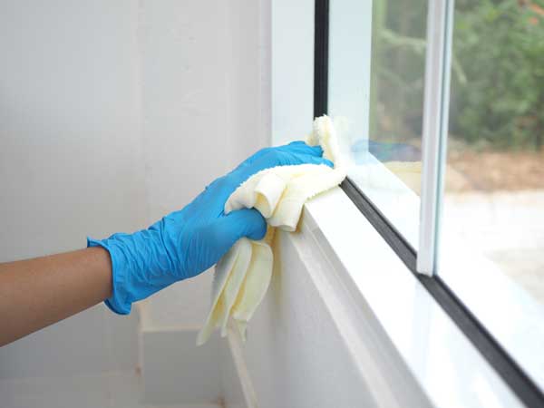 Window Cleaning